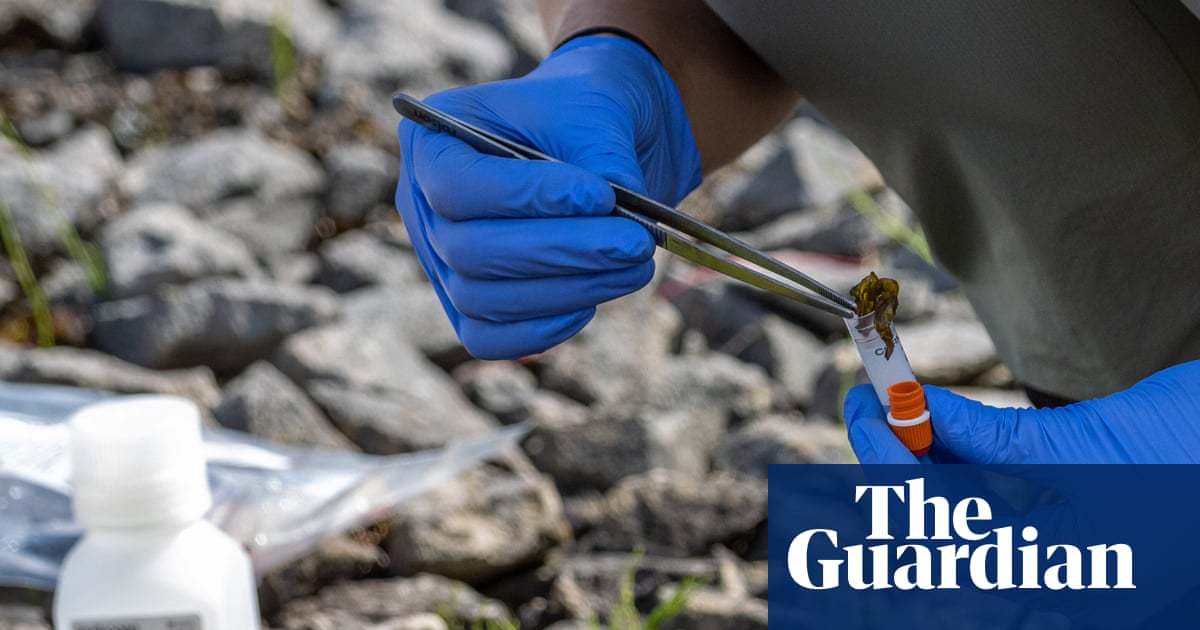 Big pharma accused of ‘free-riding on nature’ as global fund attracts just $7,000