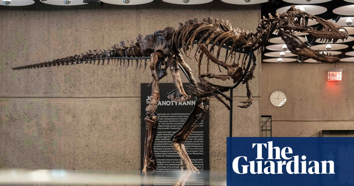 Rare Nanotyrannus skeleton sells for $47.3m at New York auction